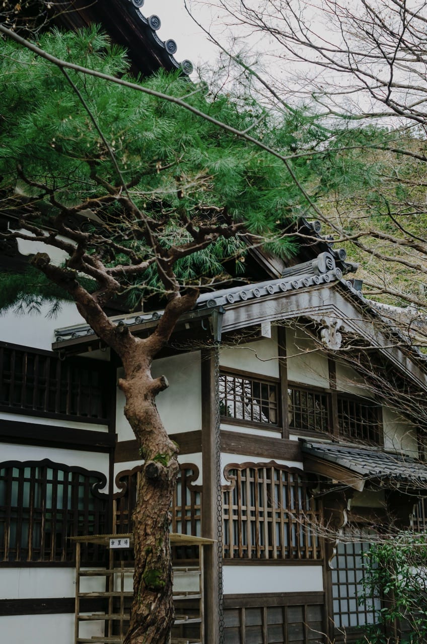 Превью Nara 2024